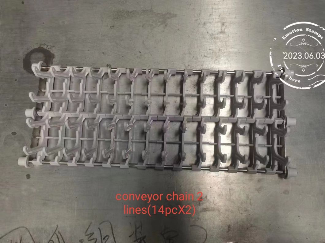 Top Quality 304 Stainless Steel Flight Conveyor Dishwasher with 2 Washing & Rinsing